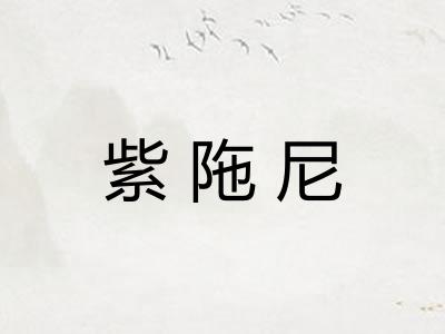 紫陁尼 紫陁尼