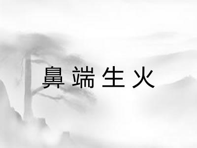 鼻端生火