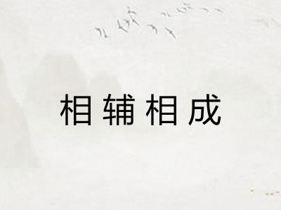 相辅相成 相辅相成