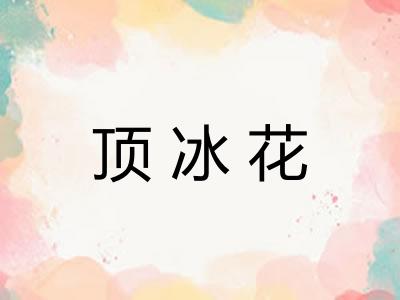 顶冰花 顶冰花
