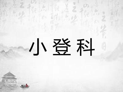 小登科 小登科