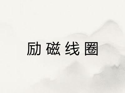 励磁线圈 励磁线圈