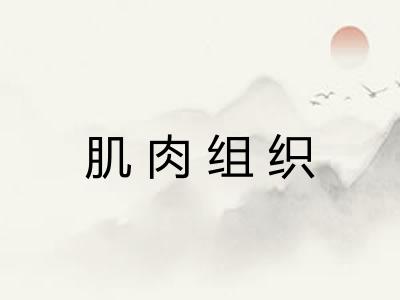 肌肉组织 肌肉组织