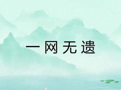 一网无遗
