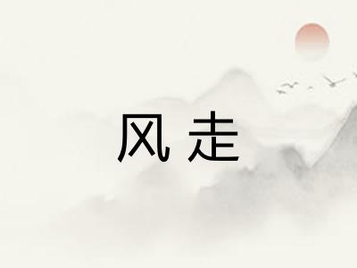 风走 风走