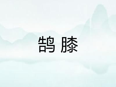 鹄膝