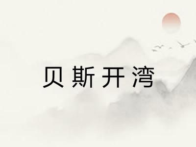 贝斯开湾