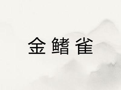 金鳍雀
