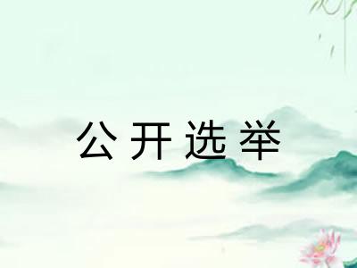 公开选举 公开选举