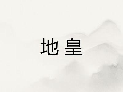 地皇