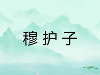 穆护子