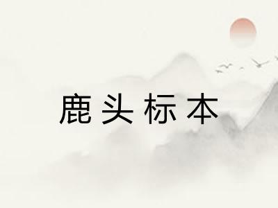 鹿头标本