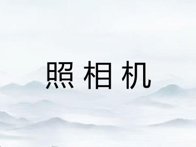 照相机 照相机