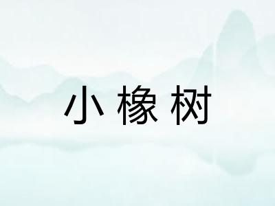 小橡树 小橡树