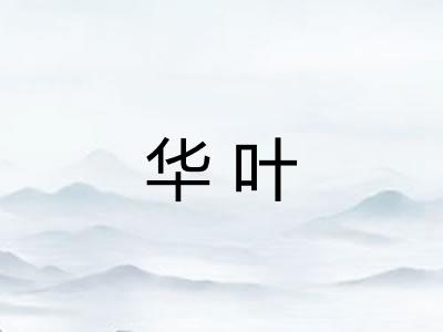 华叶 华叶