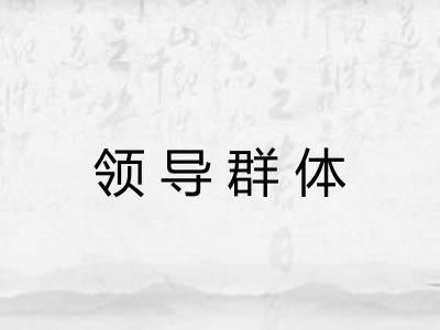 领导群体