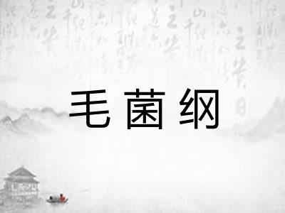 毛菌纲