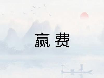 赢费