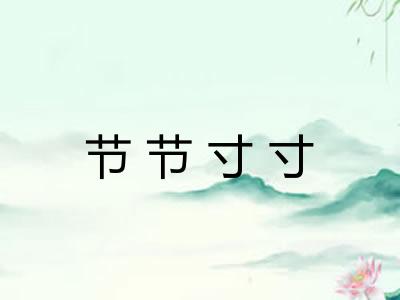 节节寸寸