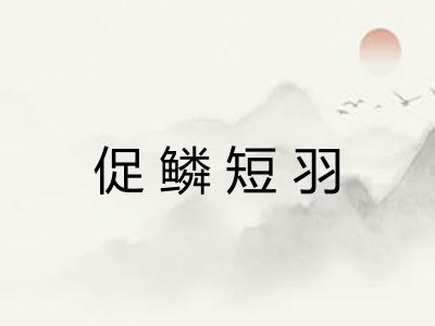 促鳞短羽 促鳞短羽