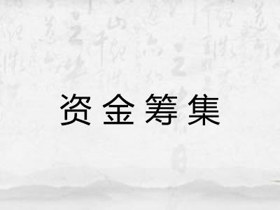 资金筹集