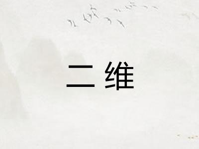 二维