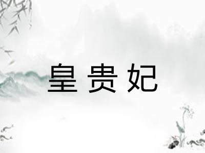 皇贵妃 皇贵妃