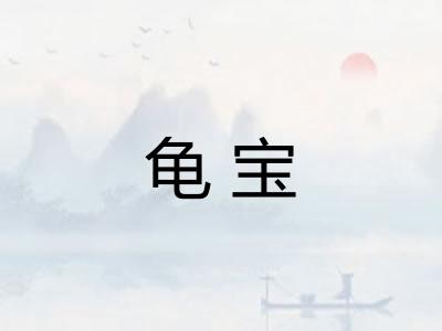 龟宝 龟宝