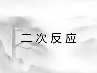 二次反应 二次反应