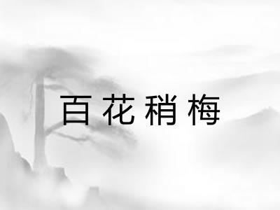 百花稍梅