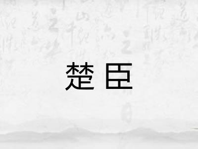 楚臣