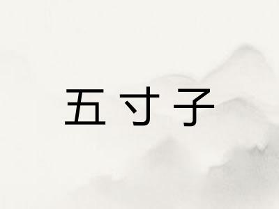 五寸子