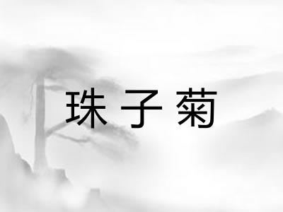 珠子菊