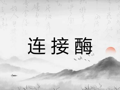 连接酶