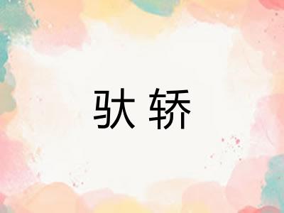 驮轿