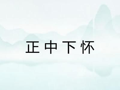 正中下怀