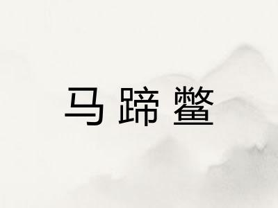 马蹄鳖