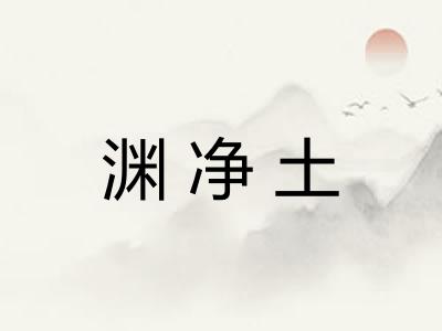 渊净土 渊净土