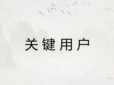 关键用户
