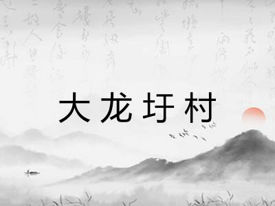 大龙圩村 大龙圩村