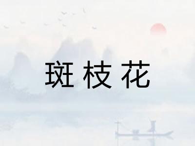 斑枝花