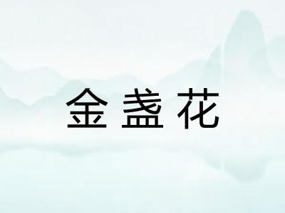 金盏花 金盏花