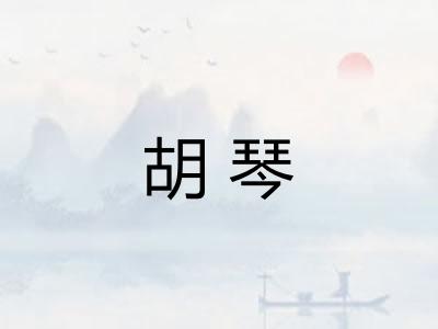 胡琴