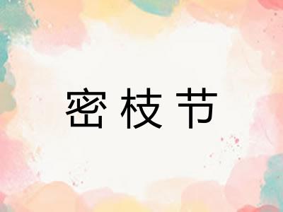 密枝节 密枝节