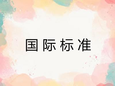 国际标准 国际标准