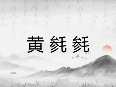 黄毵毵
