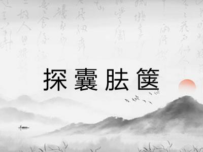 探囊胠箧