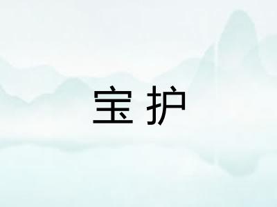 宝护