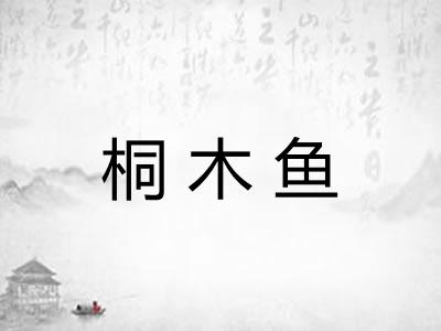 桐木鱼 桐木鱼