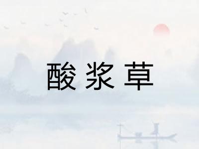 酸浆草 酸浆草